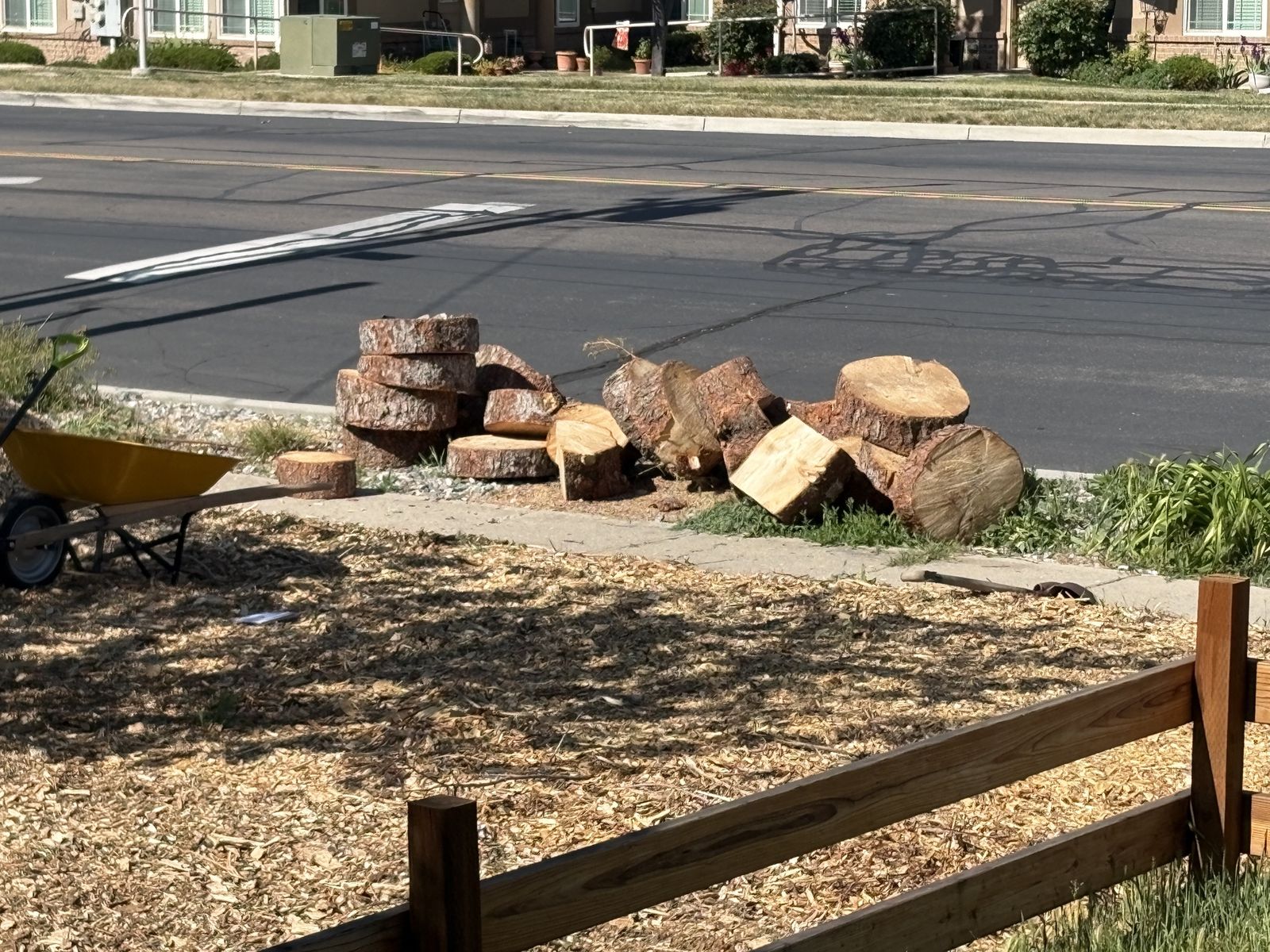 Free firewood