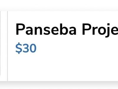 Panseba projector