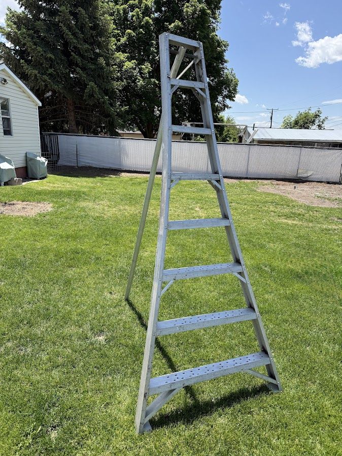 Orchard Ladder