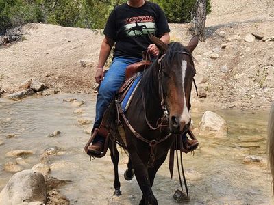 2023 grade mare