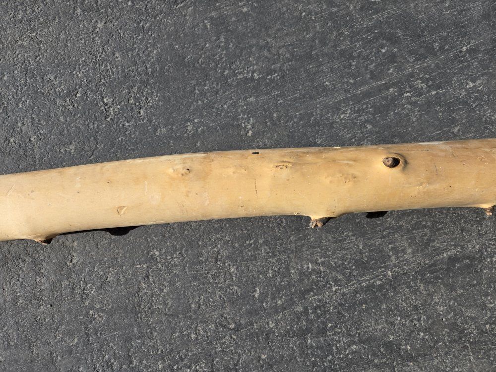 Lodgepole Pine Poles