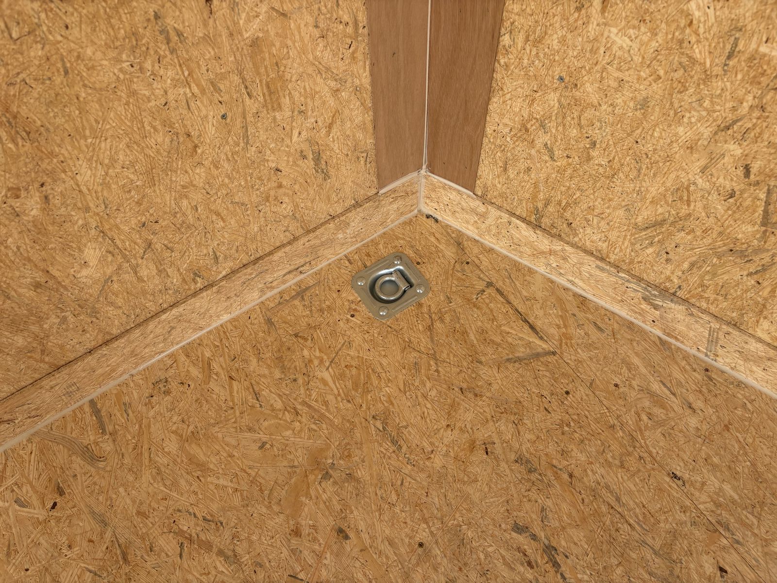 Main image 5