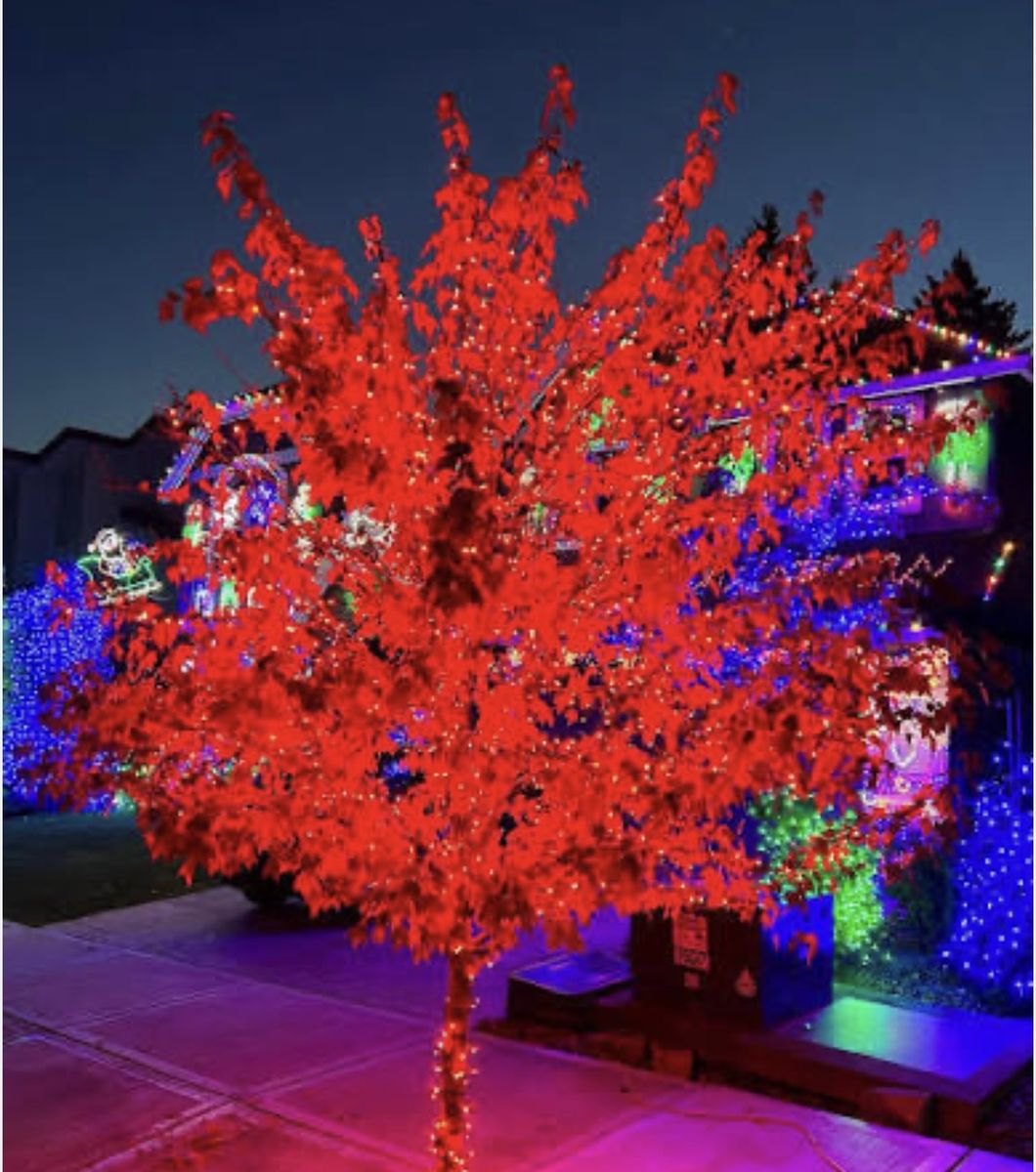 Outdoor Christmas 25-Foot String Lights Set of 100