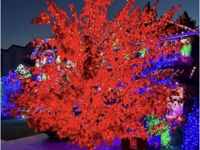 Outdoor Christmas 25-Foot String Lights Set of 100