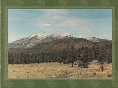 A History of The Flagstaff Arizona Stake