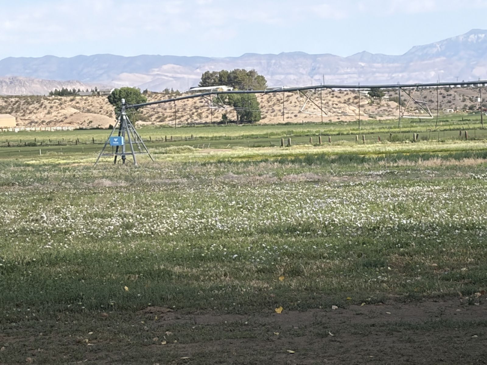 Main image 11