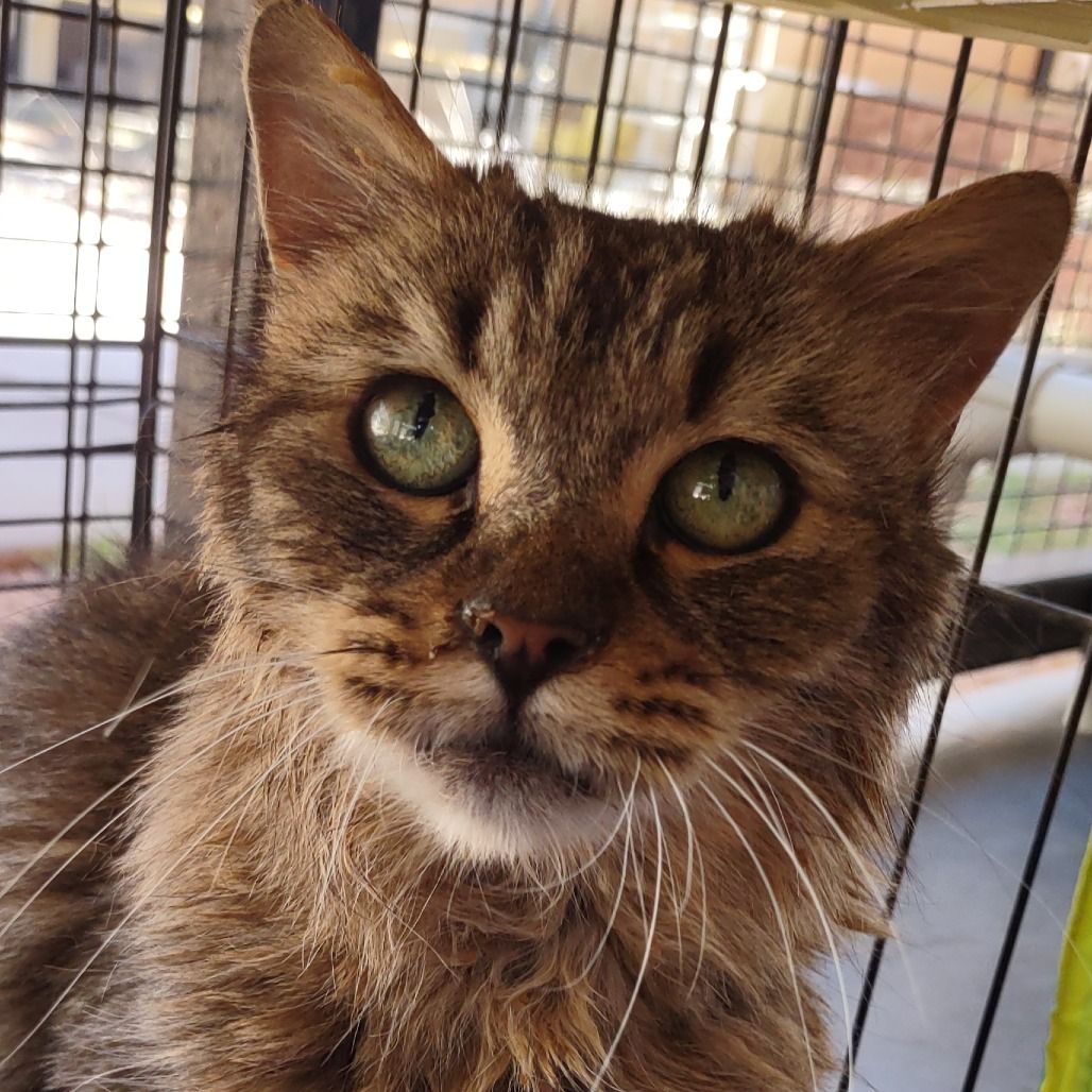 Hello my name is Zuza