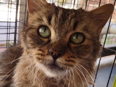 Hello my name is Zuza