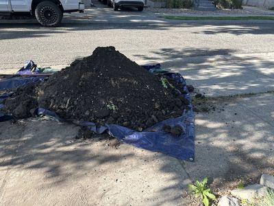 Free fill dirt