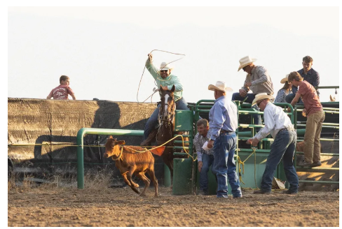 Alpine Days Rodeo 2026, Aug 15, 7:30-9:30 PM GA Rodeo Ticket