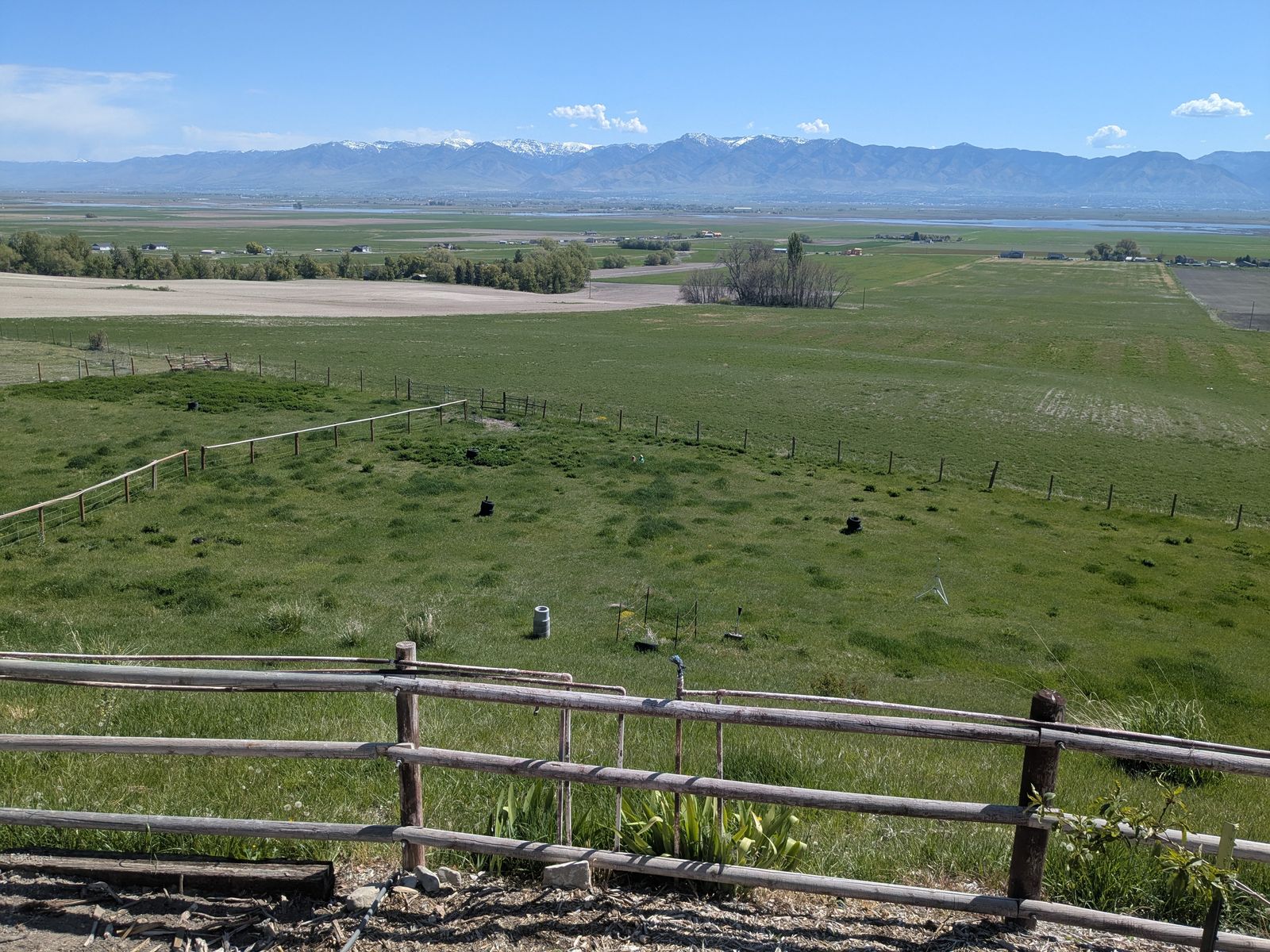 Main image 9