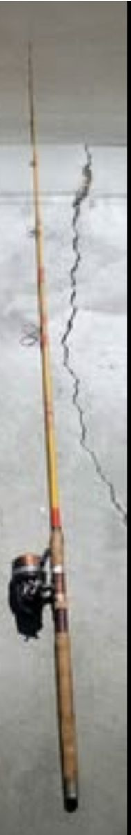 Big Cat Fish Rod And Reel Combo
