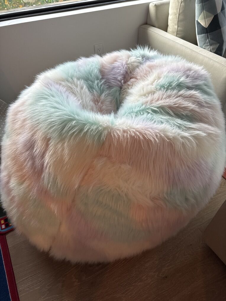 Pottery Barn, Teen Beanbag XL