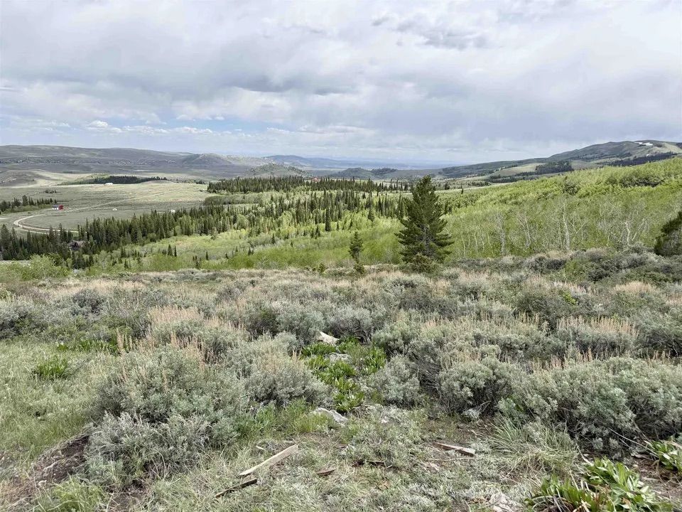 Main image 2