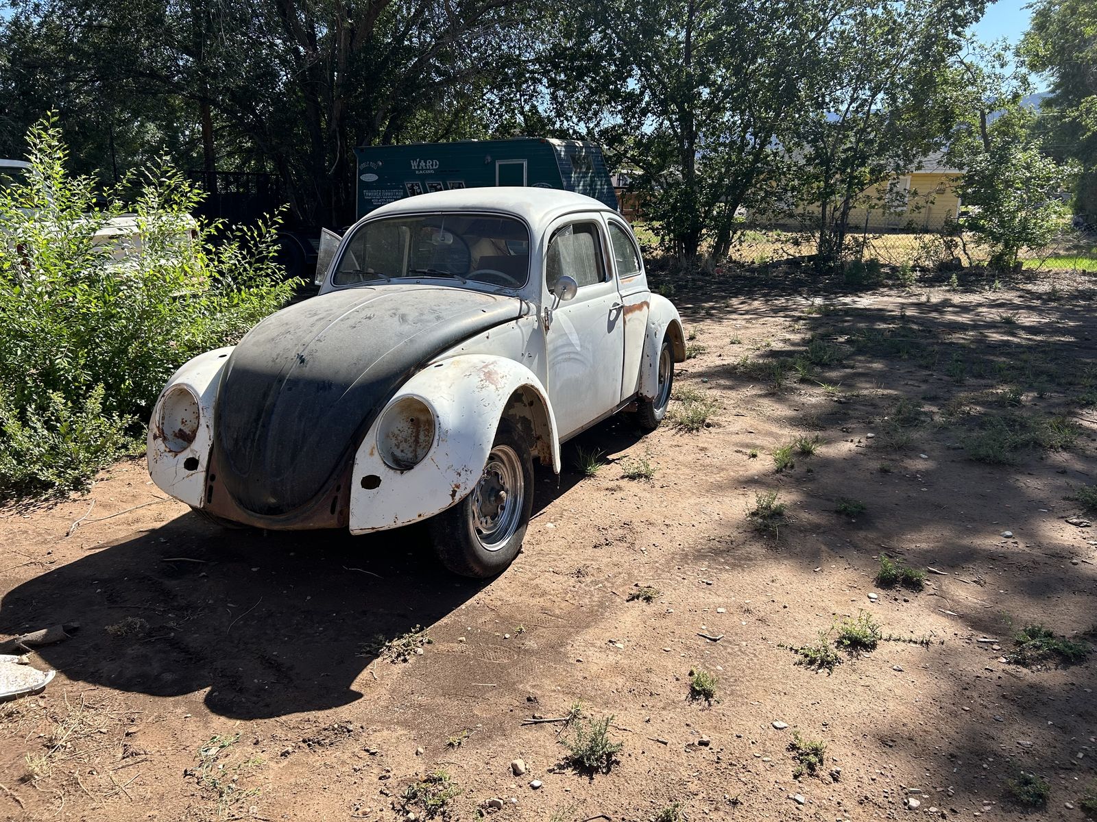 1964 Volkswagen Beetle 
