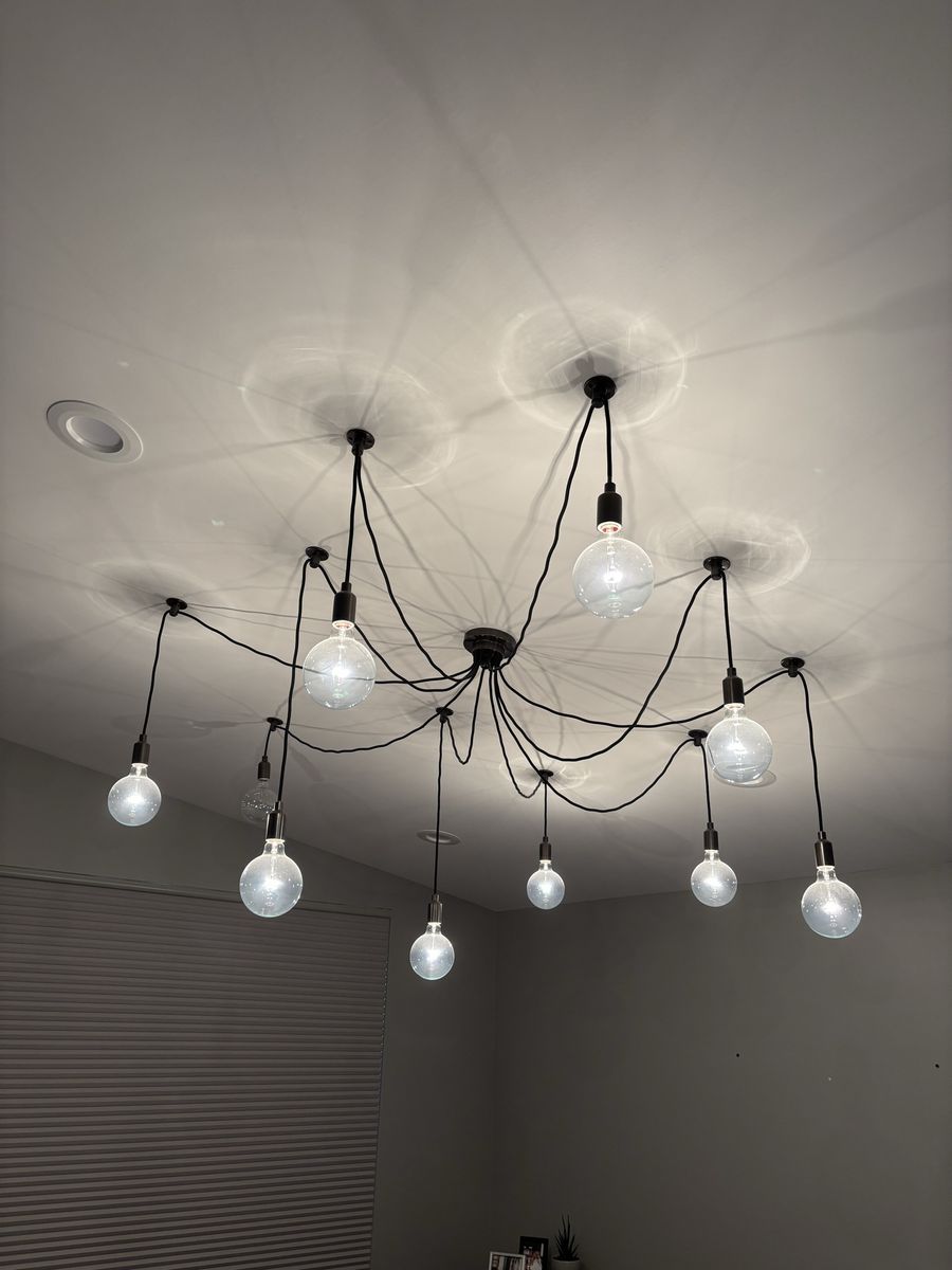 Pottery Barn 10 bulb adjustable chandelier