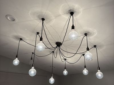 Pottery Barn 10 bulb adjustable chandelier
