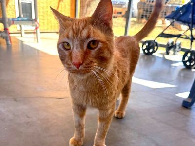 Hello my name is Silvio