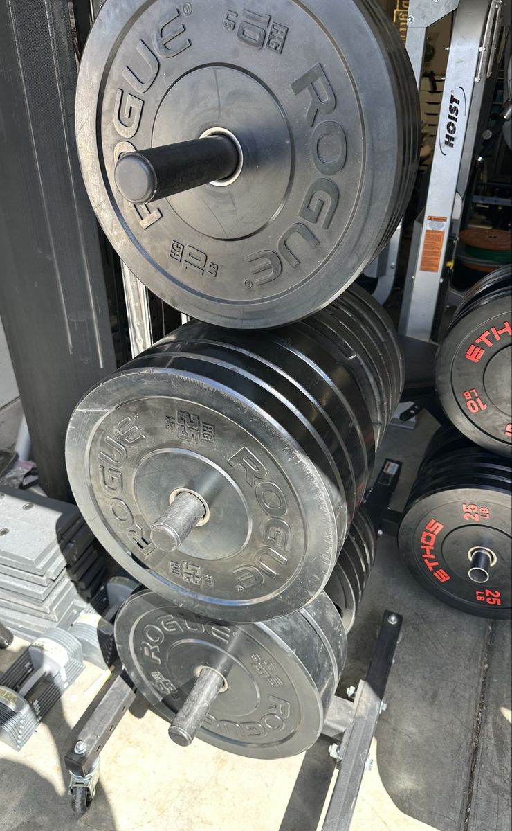 Rogue HG 2.0 Olympic Bumper Plates 260LB