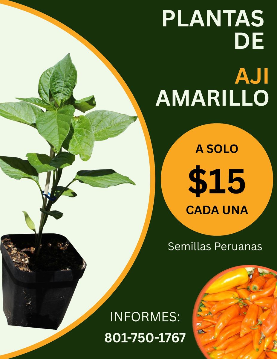 Peruvian Plants - Plantas Peruanas