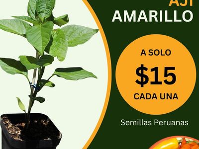 Peruvian Plants - Plantas Peruanas