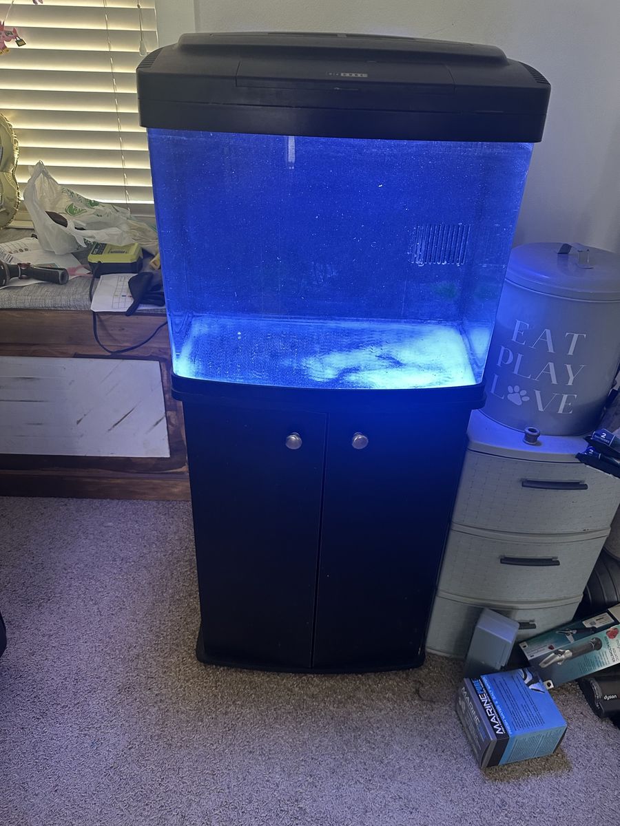 Biocube fish tank