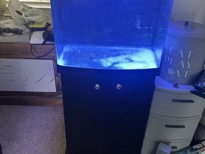 Biocube fish tank