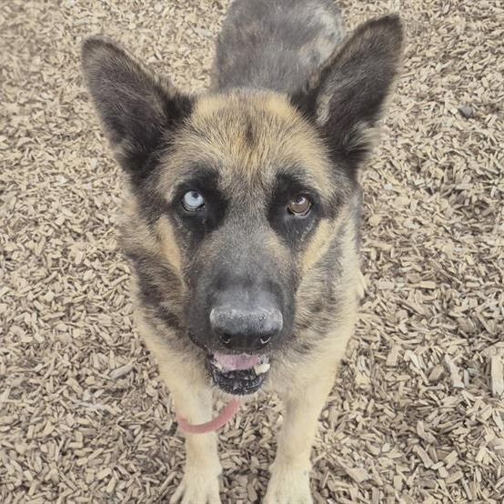 Hello my name is Dude