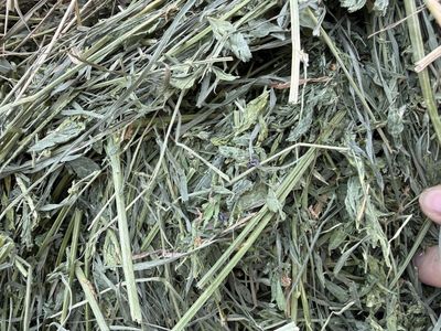 Alfalfa Hay Bales