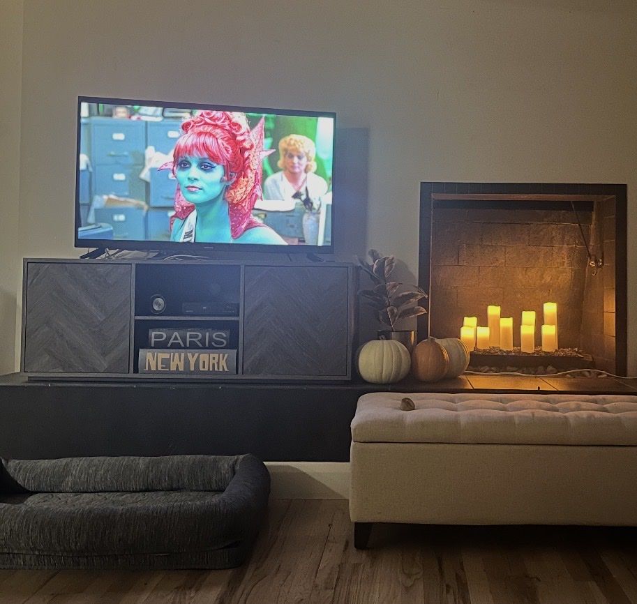 Entertainment Center / TV Stand - $25