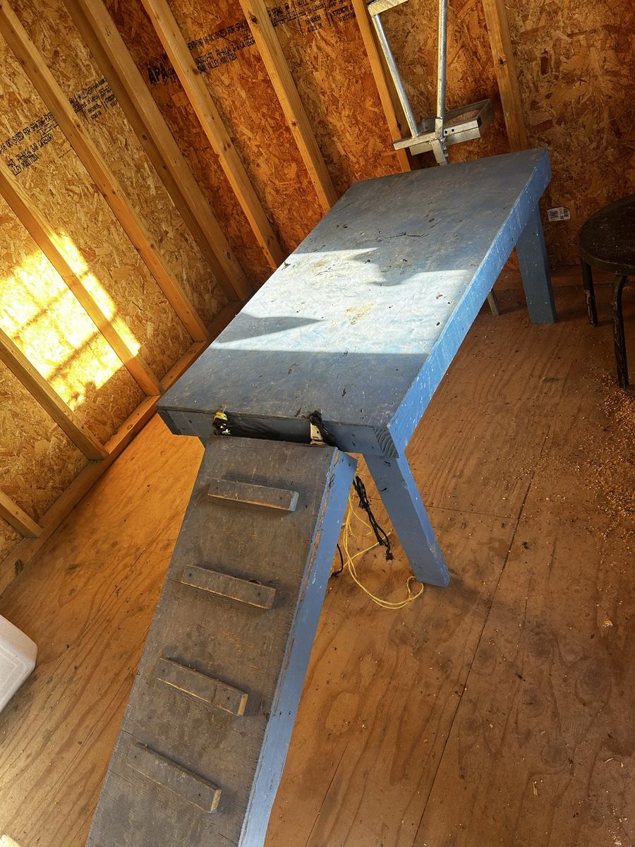 Goat milking stand and equipment