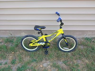 Giant Animator 16" Kids Bike Bicycle