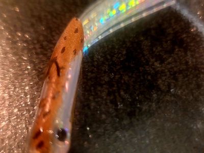 Custom Jigs