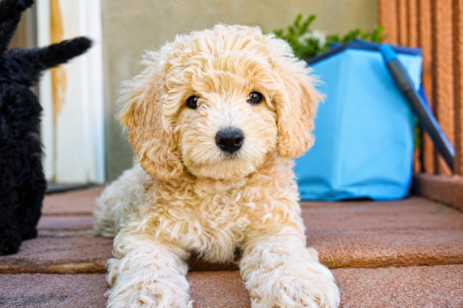 Main image 2
