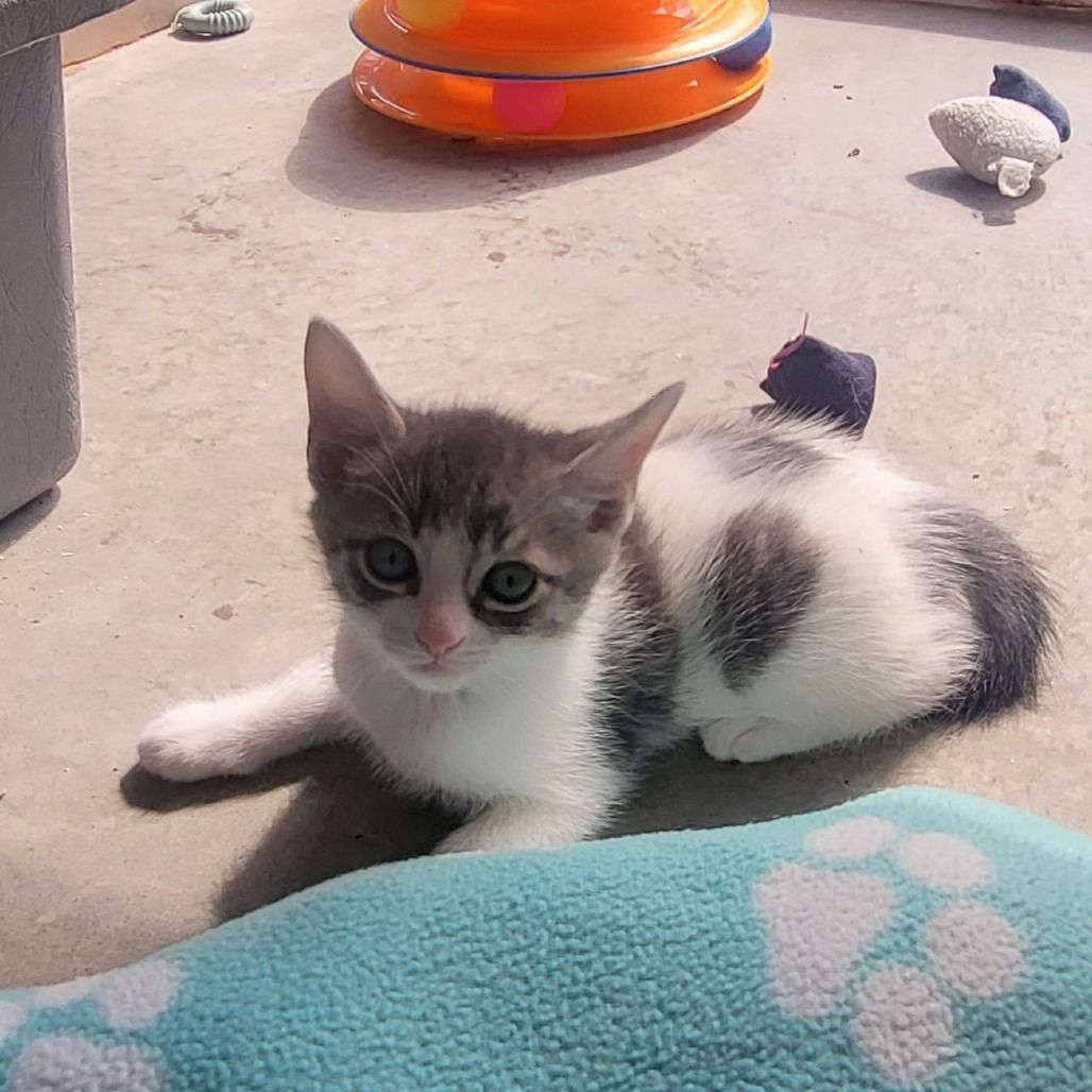 Hello my name is Shivers