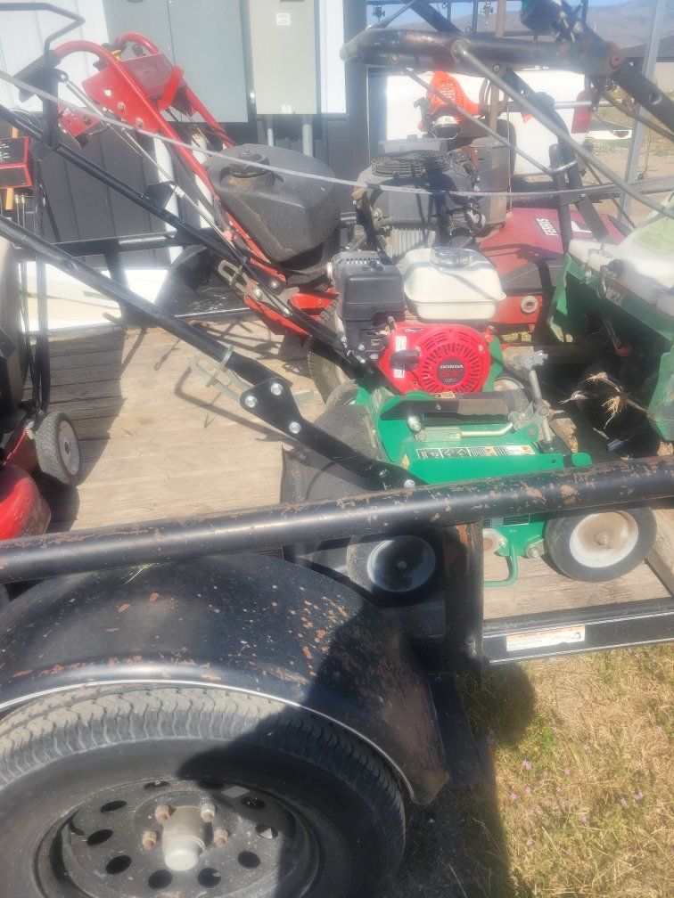 Ryan Power Rake, Dethatcher