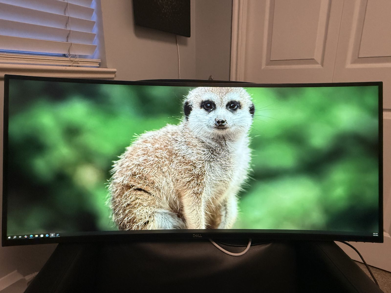 Dell 38 Ultrawide Monitor