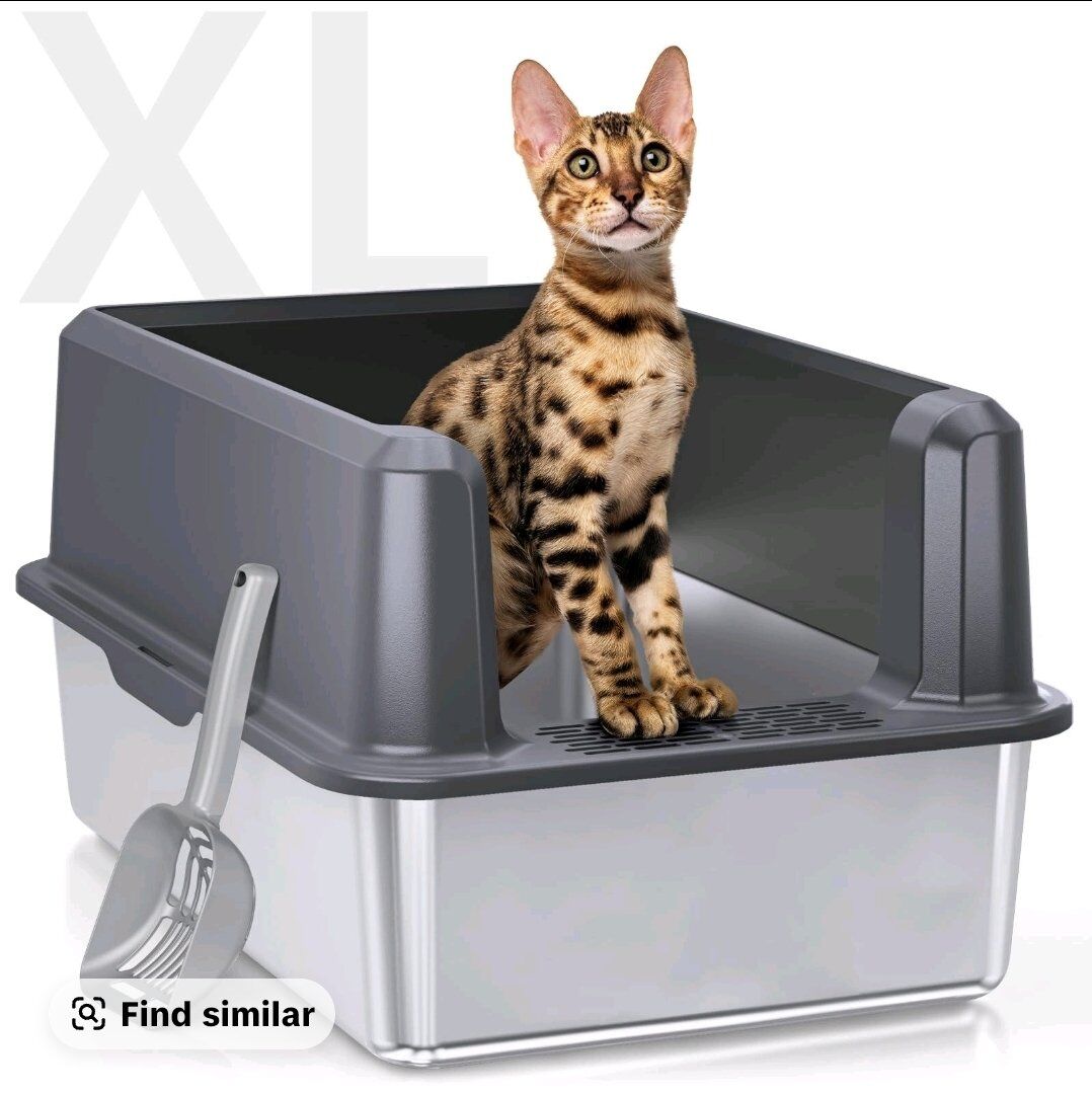 cat litter box