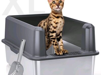 cat litter box