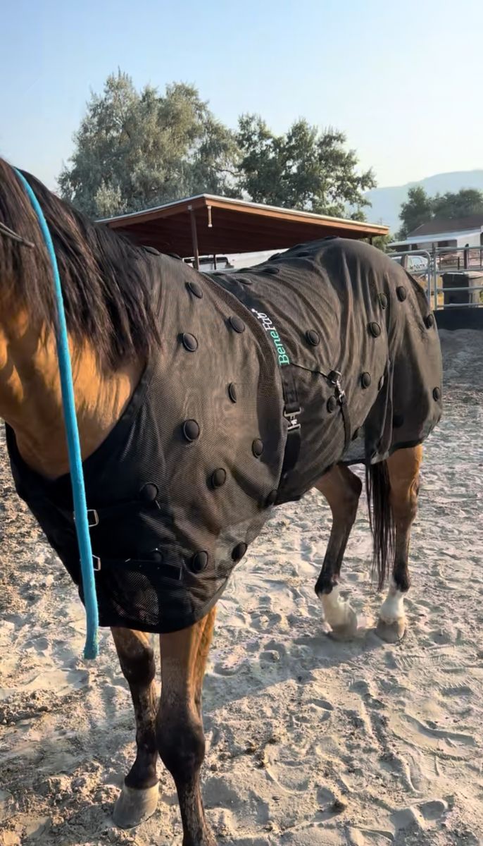 Benefab Magnetic Horse Therapy Sheet