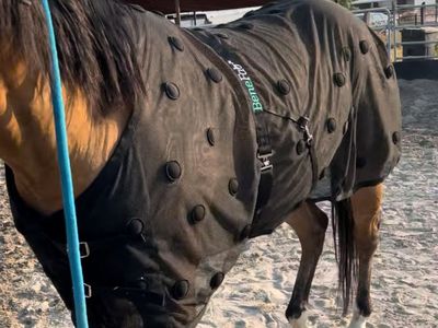 Benefab Magnetic Horse Therapy Sheet
