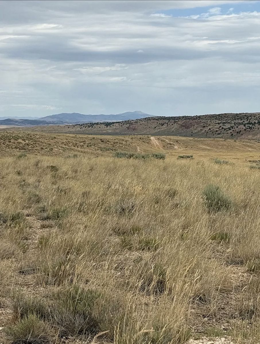 Main image 6