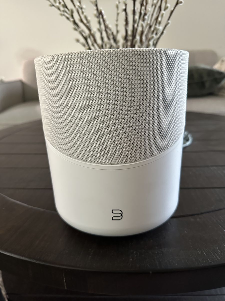 Bluesound Pulse M Streaming Speaker