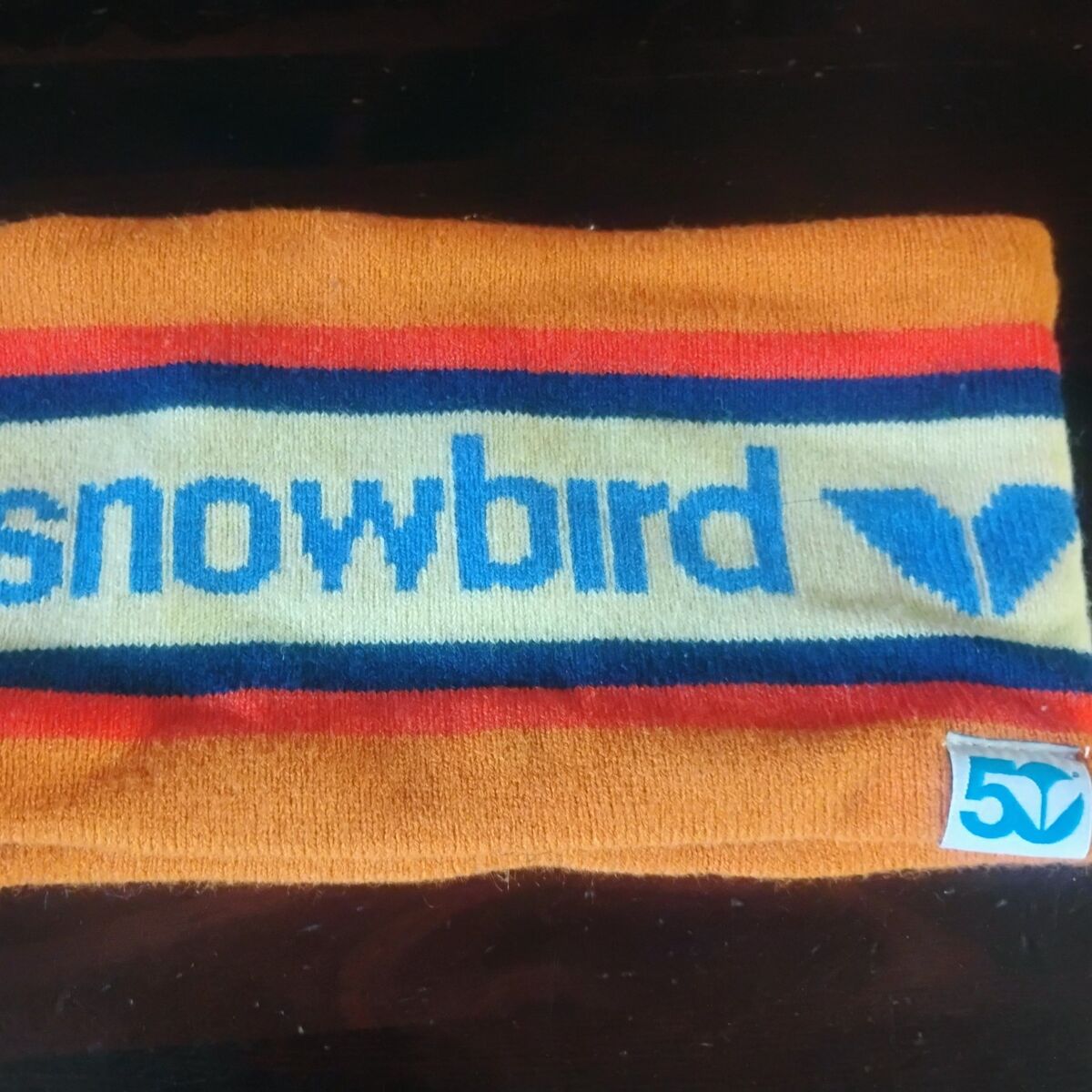 Snowbird headband