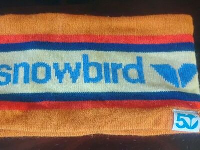 Snowbird headband