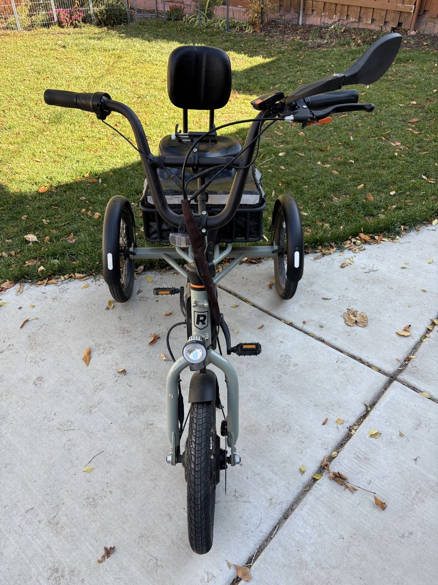 Electric adult tricycle