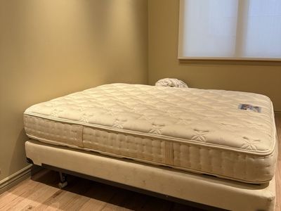 Free Queen and Full bed with mattress, box spring, and frame