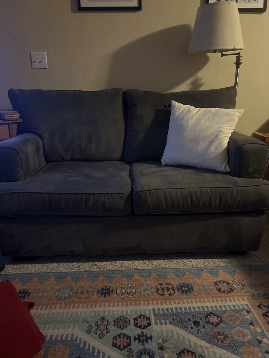 Gray Fabric Sofa Couch with Plush Cushions