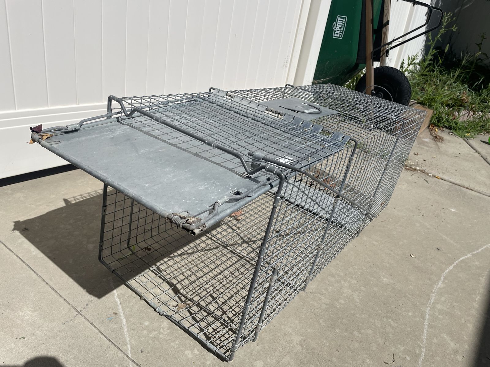 Large Animal Trap for Raccoons, Skunks, Groundhogs - Humane Live Catch Cage