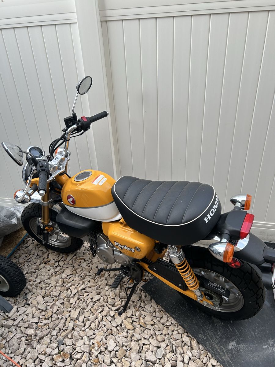 Honda Monkeys